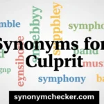 Synonyms for Culprit