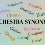 Synonyms for Orchestra