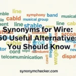 Synonyms for Wire