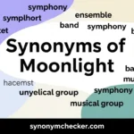 Synonyms of Moonlight