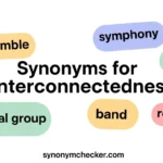 Synonyms for Interconnectedness: