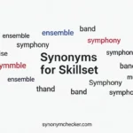 Synonyms for Skillset