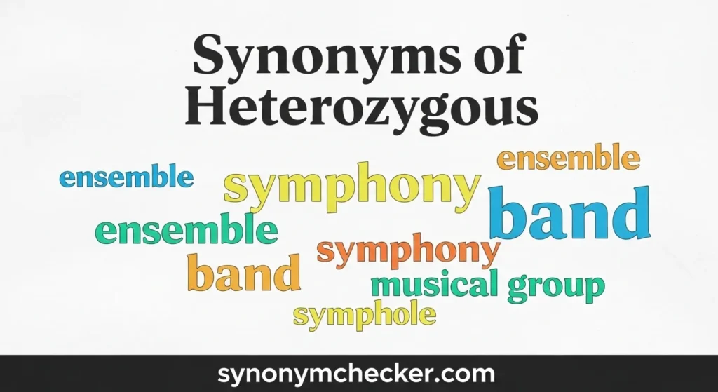 Synonyms of Heterozygous