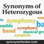 Synonyms of Heterozygous