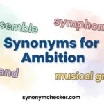 Synonyms for Ambition