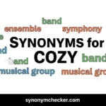 Synonyms for Cozy