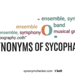 Synonyms of Sycophant