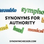 Synonyms for Authority