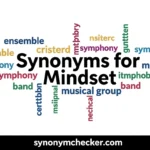 Synonyms for Mindset