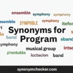 Synonyms for Program