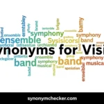 Synonyms for Vision